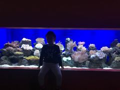 -乌鲁木齐海洋馆