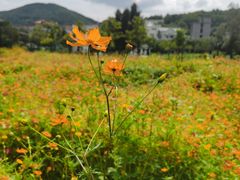 -乌石塘景区