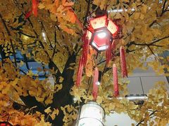 -袁州宴·地道袁州菜(袁山东路店)