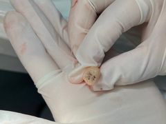 -浙江大学医学院附属口腔医院湖滨（延安）院区