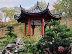 -龙华寺