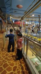 -卡通尼·Safari非洲探索乐园·生日会(金桥国际商业广场店)