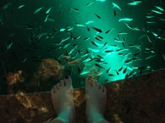 -宝丽金大酒店·洗浴中心
