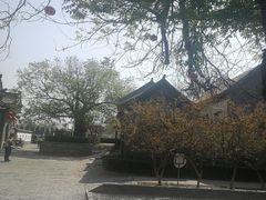 -杨家埠民间艺术大观园