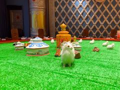 -蒙古大营·蒙古演绎餐厅(赛马场店)