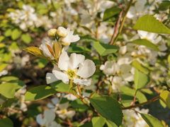 -长春公园(普阳街道)