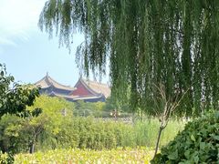 -大槐树寻根祭祖园