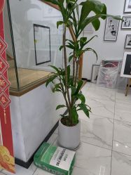 -INBABY 高端儿童摄影(万悦城店)