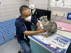 -芭比堂动物医院·心脏专科·夜诊·吉雅分院
