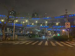 -上海南浦大桥长途旅游客运站
