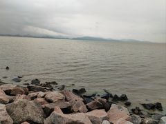-福田红树林生态公园