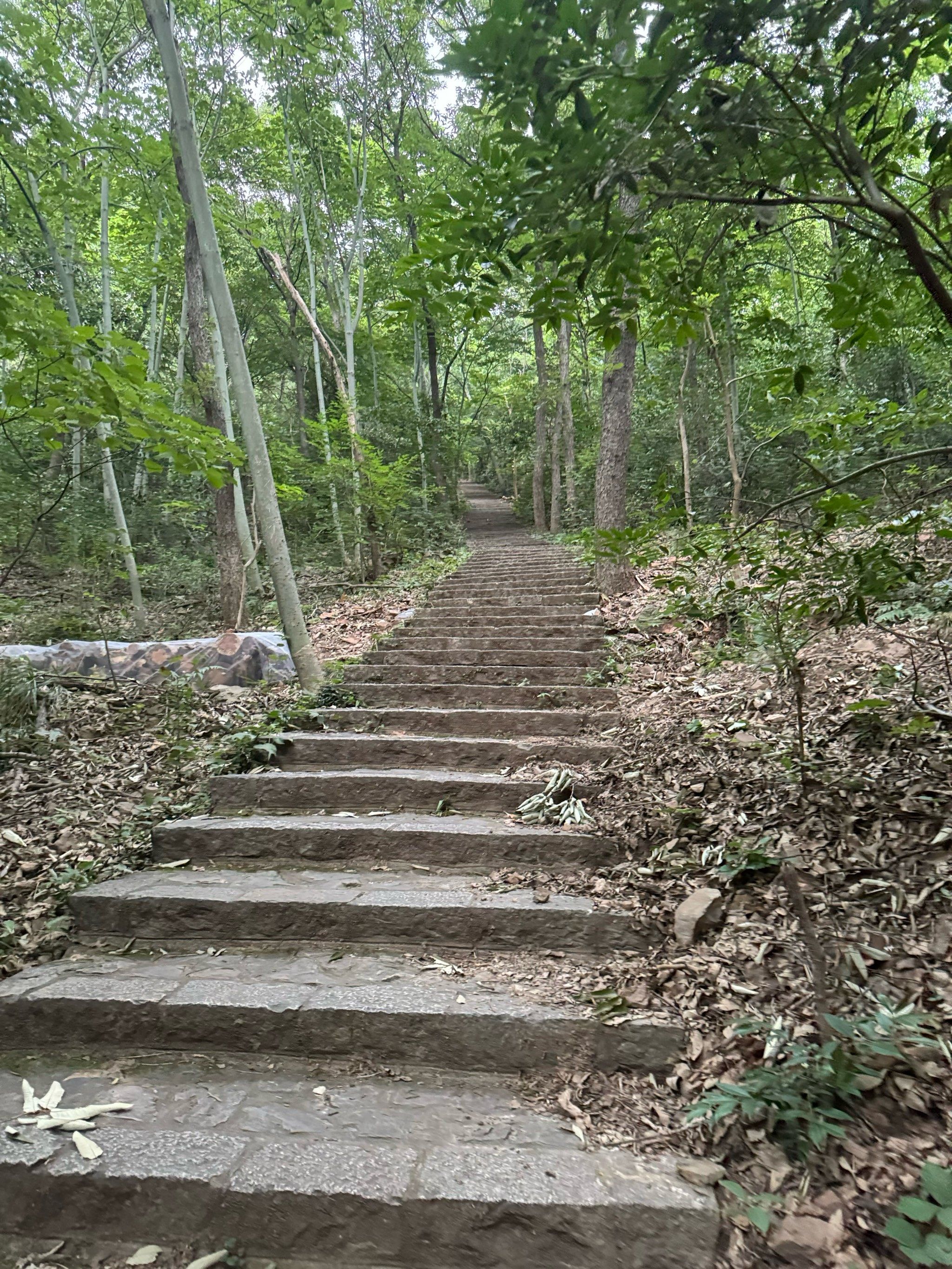 曲径通幽的山间路