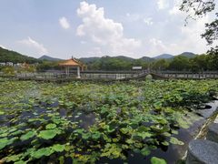 -红山村