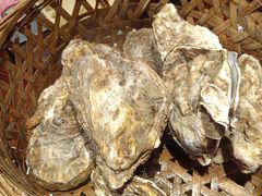 -蚝堡海鲜·威海菜·海肠捞饭·烧烤·亚洲吃蚝公司(幸福门店)