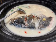 -7017浙菜•建德味(中财店)