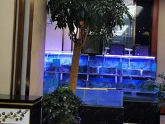 -玉雪春天(中正花园店)