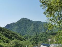 -大岭沟猕猴桃谷风景区