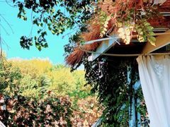 -安德鲁户外烧烤帐篷营地(马泉营店)