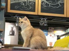 -咖法森林·咖啡  酒吧(天河店)