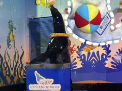 -太平洋海底世界