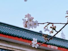 -鸡鸣寺