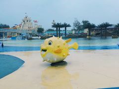 -秦皇岛乐岛海洋王国