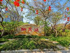 -映月湖公园