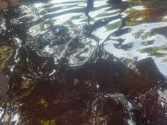 -碧水湾温泉