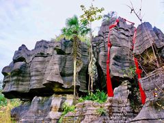 -梭布垭石林景区