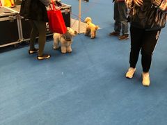 -东浩兰生上海世博展览馆