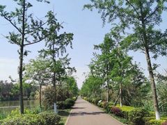 -白鹭湾湿地公园