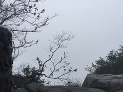 -福建泉州仙公山风景名胜区