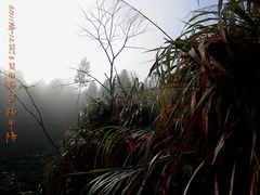 -祁门牯牛降观音堂风景区