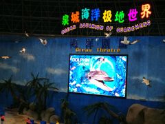 -泉城欧乐堡海洋极地世界