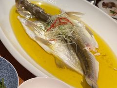 -杭州桐庐康莱德酒店中餐厅·乐
