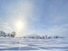 -二世古滑雪场