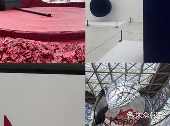 艺术盗贼Anish Kapoor