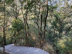 -梧桐山风景名胜区