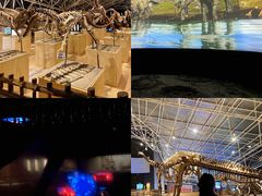 -世界恐龙谷景区