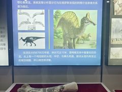 -嘉荫恐龙国家地质公园