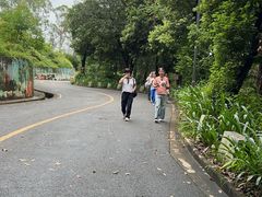 -大雁山风景区