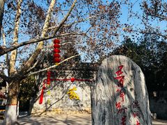 -大槐树寻根祭祖园