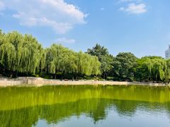 -团结湖公园