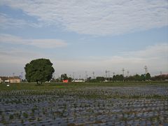 -中国天府农业博览园