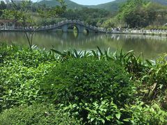 -大屏嶂森林公园