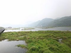 -腾冲北海湿地