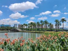 -南宁南湖公园