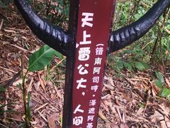 -西双版纳基诺山寨