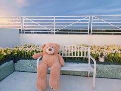 -Blue Concept Cafe&Farm·關於藍