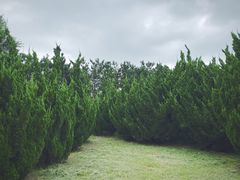 -ChanDu躔度咖啡(灯塔店)